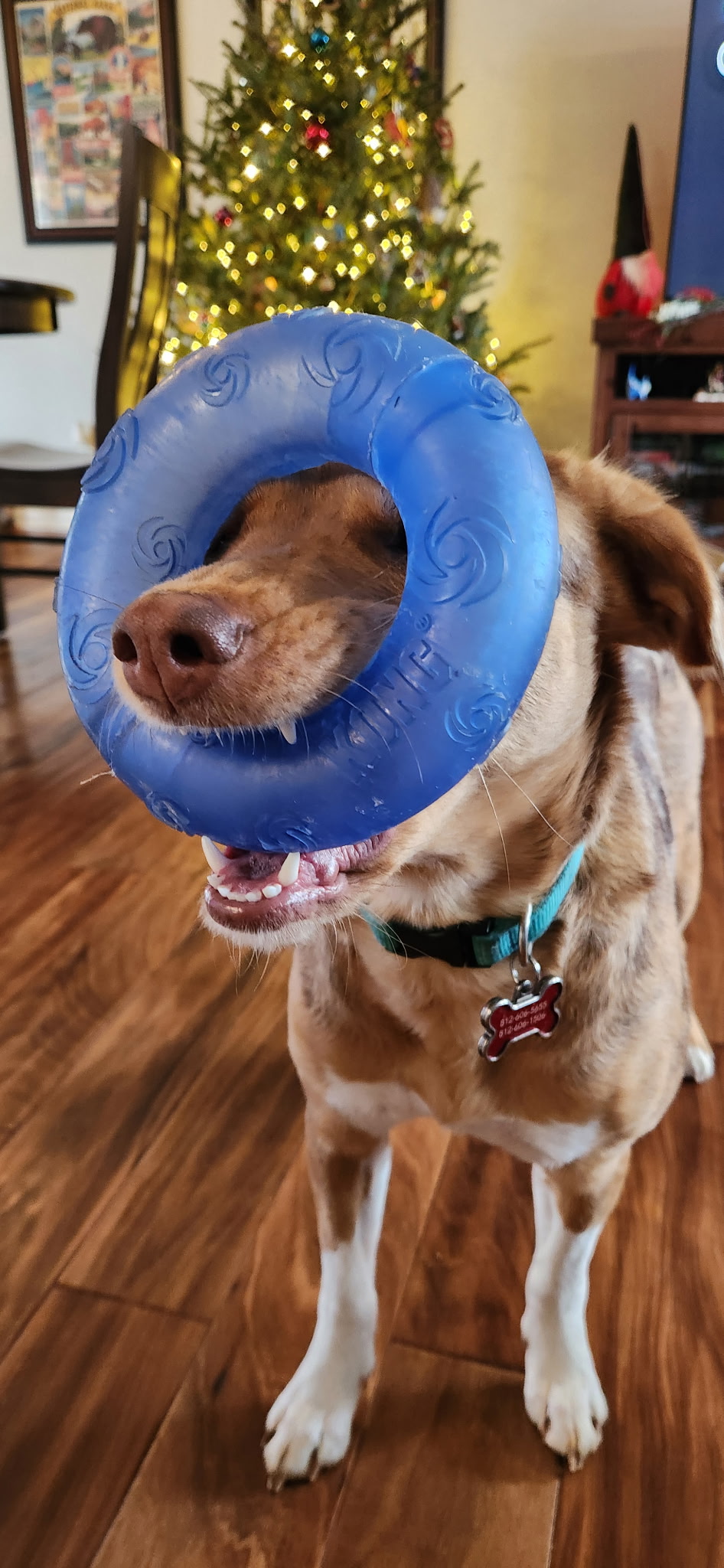 Image for Welcome to Our New Website