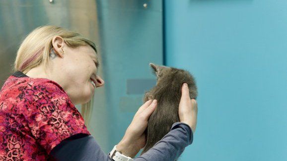 Kari Fuller, Vet Assistant
